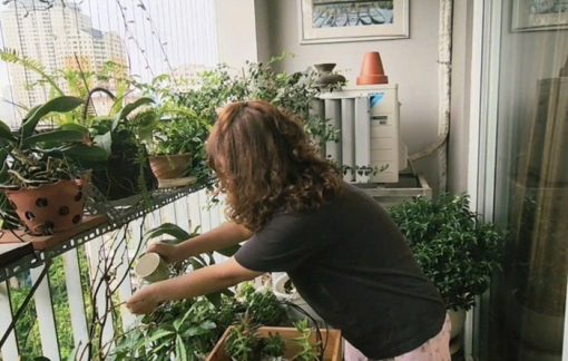 Minimalism và hành trình từ “chật cứng” đến “tự do”