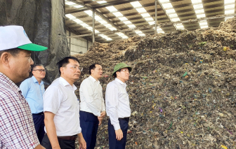 Đà Nẵng: Đau đầu tìm cách xử lý khủng hoảng rác