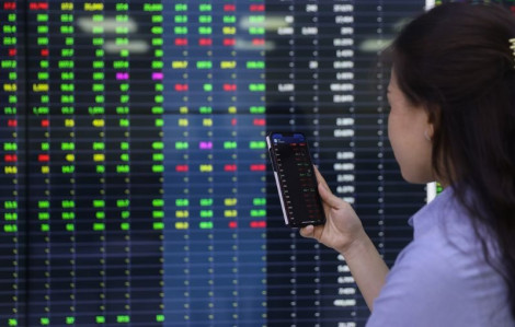 Câu chuyện đầu tư: Chơi chứng khoán kiếm tiền chợ, nhóm đồng nghiệp kẹt hàng lỗ sâu