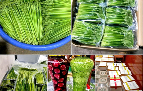 Rầm rộ rao bán đòng đòng nếp ngâm rượu