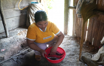 Đà Nẵng huy động tổng lực đẩy lùi ngộ độc cá ủ chua ở các xã miền núi