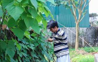 Chàng trai 'không tay' nấu ăn, quay video truyền cảm hứng