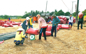 Nâng cấp và chính danh nghề “cò lúa”