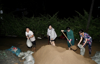 TPHCM đẩy nhanh dự án chống sạt lở bán đảo Thanh Đa