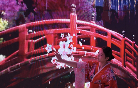 Du khách thích thú trải nghiệm trà đạo, ngắm hoa anh đào Nhật Bản, Hàn Quốc tại TPHCM