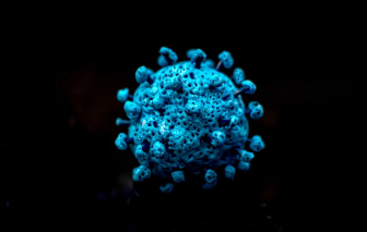 Biến thể COVID-19 'Ve sầu' có đáng lo ngại?