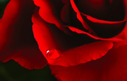 Truyện ngắn - Ngôi đền thiêng