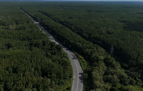 Ngắm đường Rừng Sác, Cần Giờ, đang được Vingroup đề xuất mở rộng lên 10 làn xe