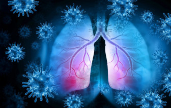 Giải mã lý do phổi người lớn tuổi dễ tổn thương trước cúm và COVID-19