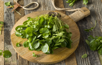 Cải xoong – ‘siêu thực phẩm’ giúp trẻ hóa và phòng ngừa bệnh tật