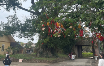 Không ngân sách khủng, gia đình trẻ vẫn vi vu khắp nơi nhờ bí quyết “ăn bản địa, ở nhà dân”