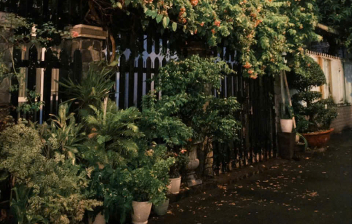 Khám phá những con hẻm thơ mộng tại Sài Gòn