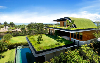 Đưa vườn hoa, công viên lên mái nhà