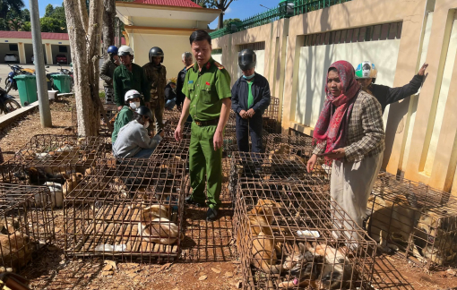 Khởi tố, bắt hai đối tượng liên quan vụ 70 con chó bị bắt trộm