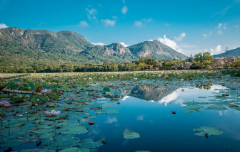 Côn đảo là điểm đến mùa xuân tuyệt vời ở châu Á năm 2026