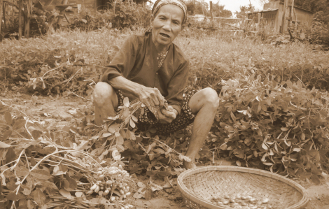 Mùa lạc xứ Nghệ