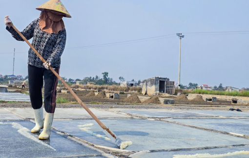 Nắng nóng, diêm dân Nghệ An tất bật vào mùa