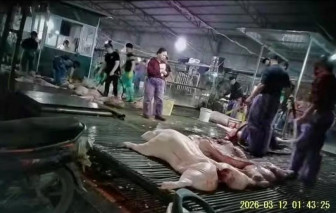 Hãy chặn đứng những bàn tay quỷ sứ