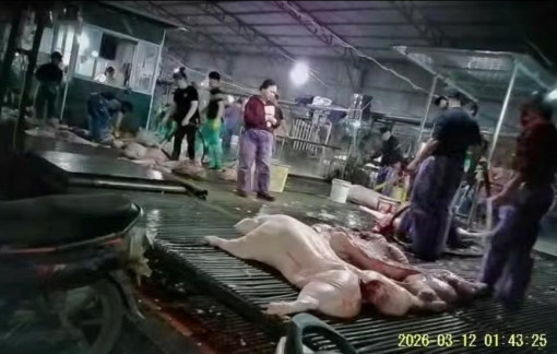 Hãy chặn đứng những bàn tay quỷ sứ