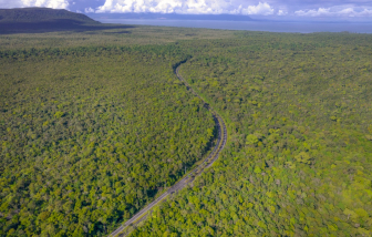 Nhiều địa phương tỉnh An Giang cảnh báo cháy rừng mức độ 5