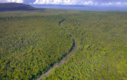 Nhiều địa phương tỉnh An Giang cảnh báo cháy rừng mức độ 5