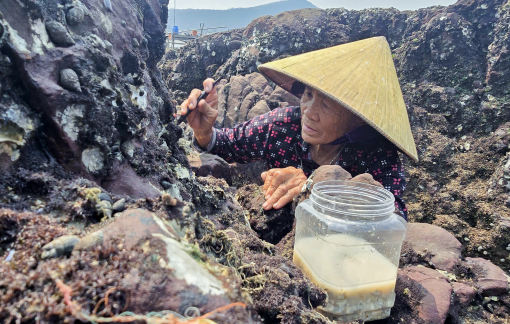 Nghề “đục đá kiếm tiền” của phụ nữ vùng biển