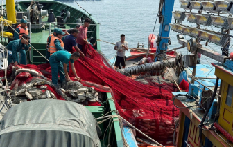 Hải đội Dân quân kịp thời cứu hộ tàu cá Quảng Ngãi cùng 12 ngư dân gặp nạn trên biển