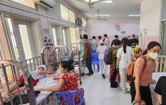 1 loại vi khuẩn trong đường tiêu hóa của động vật gây ngộ độc ở trường Tiểu học Bình Quới Tây