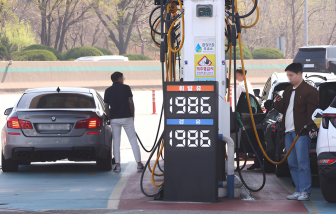 Nhà đang trở thành nơi tránh bão giá