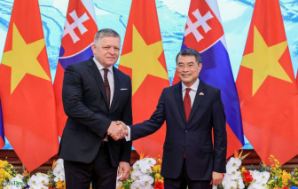 Nâng cấp quan hệ Việt Nam-Slovakia lên Đối tác Chiến lược