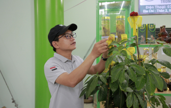 Đà Nẵng sẽ tổ chức chợ phiên sâm Ngọc Linh mỗi tháng một lần