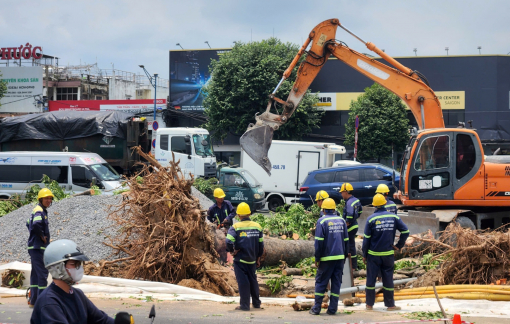Bắt đầu đốn hạ, di dời cây xanh để làm ga metro số 2