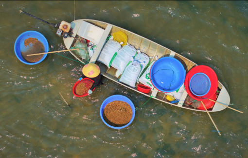 Mưu sinh mùa ốc xếp