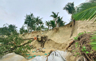 Nương tựa thiên nhiên để sống và giữ bãi bờ Hội An