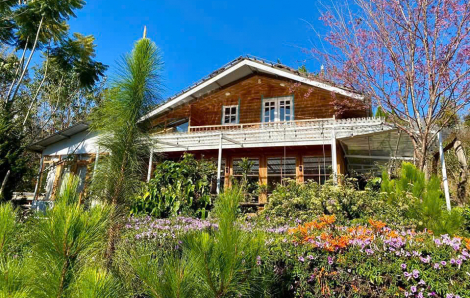 Câu chuyện đầu tư: Mất trắng 1 tỷ đồng vì tin vào dự án 'lập làng thuận tự nhiên'