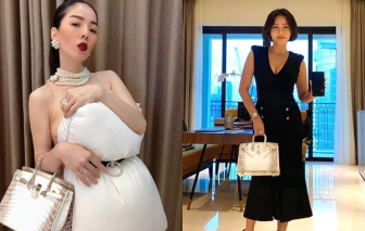 Chiếc túi 'bạch tạng' 4,1 tỷ đồng của bà Trương Mỹ Lan và cuộc chơi Hermes Birkin của sao Việt