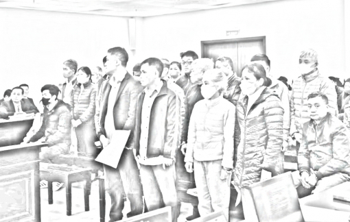 Ông chủ Công ty LanQ kháng cáo sau vụ lừa đảo hàng tỉ đồng của BHXH