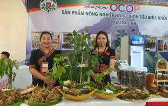 500 sản phẩm “made in Đà Nẵng” đồng loạt ra mắt với định hướng xuất khẩu vươn tầm quốc tế