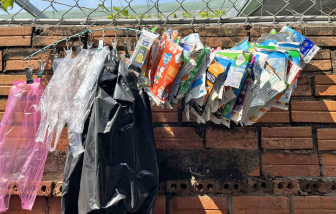 Giữ lấy màu xanh từ chính tay mình