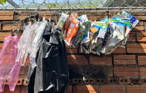 Giữ lấy màu xanh từ chính tay mình