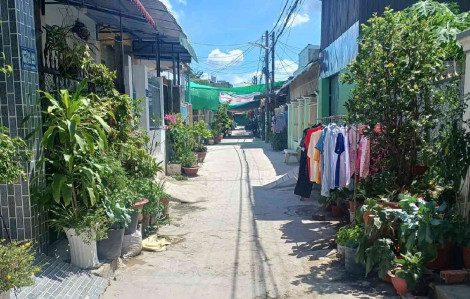 Săn nhà... 'tồn kho'