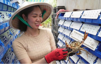 Nông nghiệp thông minh là hành trình đi tìm hạnh phúc cho người nông dân