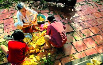 Kẻo mai này phai lạt…