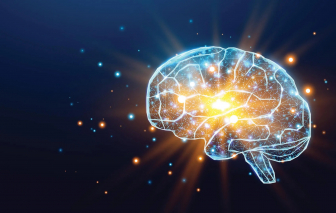 Vì sao có những ngày bạn tỉnh táo và đạt năng suất bất thường?