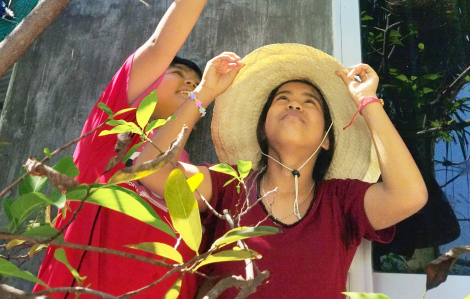 Con ngõ tuổi thơ