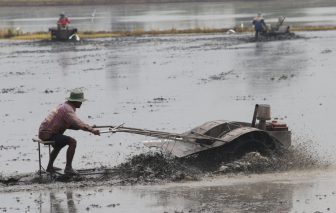 Cảnh báo bệnh ‘sốt đất’ bùng phát tại Thái Lan làm nhiều người tử vong
