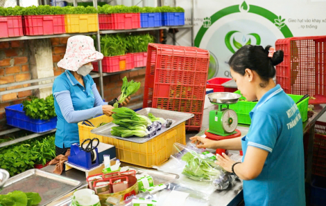 Rau an toàn khó “chen chân” vào bếp ăn học đường