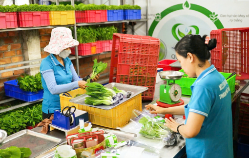 Rau an toàn khó “chen chân” vào bếp ăn học đường
