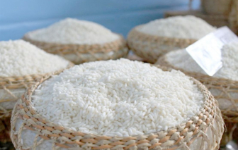 Cà Mau tổ chức Cuộc thi Gạo ngon vùng đồng bằng sông Cửu Long