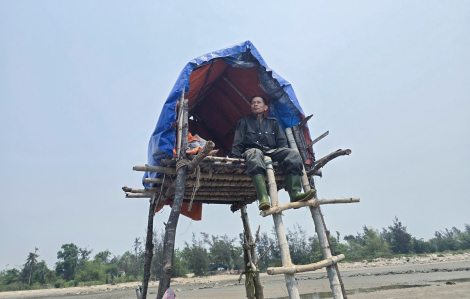 “Canh bạc” trên bãi triều của người dân miền biển